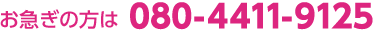 08044119125